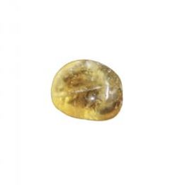 Citrino Rodado Pequeño